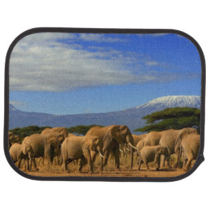 Kilimanjaro And Elephants Car Mat
