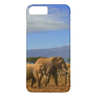 Kilimanjaro And Elephants