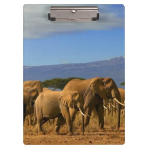Kilimanjaro And Elephants Clipboard