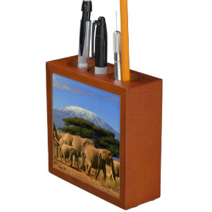 Kilimanjaro And Elephants Desk Organizer