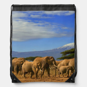 Kilimanjaro And Elephants Drawstring Bag