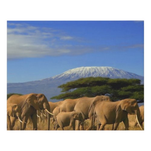 Kilimanjaro And Elephants Faux Canvas Print
