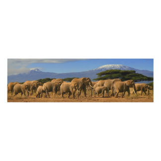 Kilimanjaro And Elephants Panel Wall Art