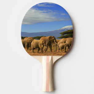 Kilimanjaro And Elephants Ping-Pong Paddle