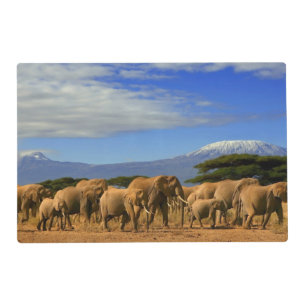 Kilimanjaro And Elephants Placemat