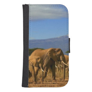 Kilimanjaro And Elephants Galaxy S4 Wallet Case