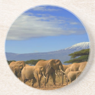 Kilimanjaro And Elephants Sandstone Coaster