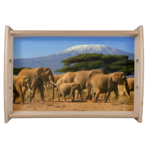 Kilimanjaro And Elephants Serving Tray