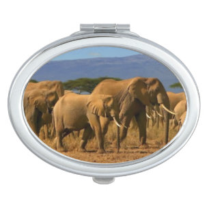 Kilimanjaro And Elephants Vanity Mirror