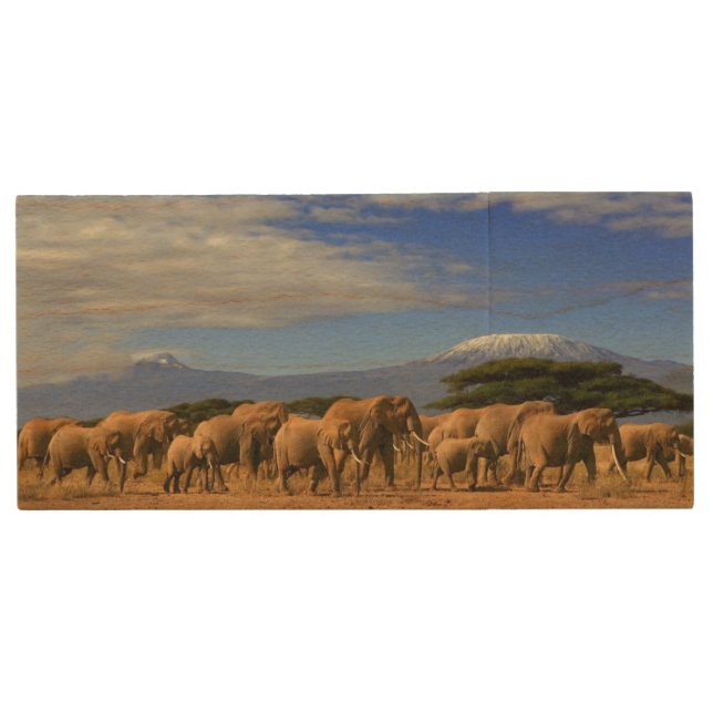 Kilimanjaro And Elephants Wood USB Flash Drive (Front)