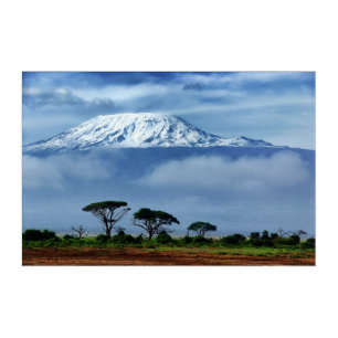 Kilimanjaro Kenya Acrylic Print