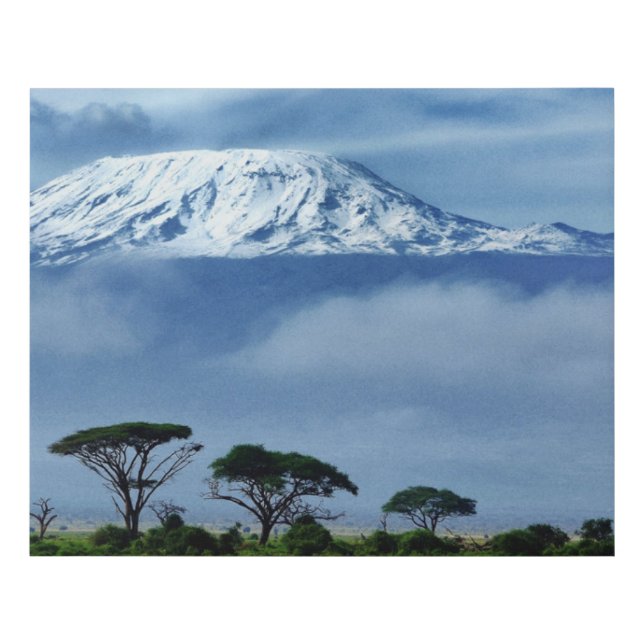 Kilimanjaro Kenya Faux Canvas Print (Front)