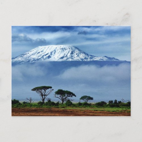 Kilimanjaro Kenya Postcard