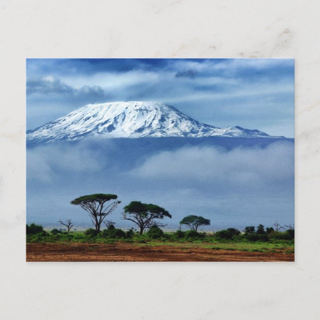 Kilimanjaro Kenya Postcard (Front)