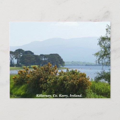 Killarney lakeside County Kerry Ireland Postcard
