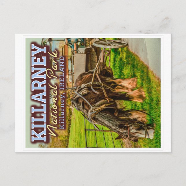 KILLARNEY NATIONAL PARK - KILLARNEY IRELAND POSTCARD (Front)