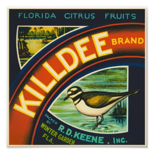 Killdee Oranges packing label Photo Print