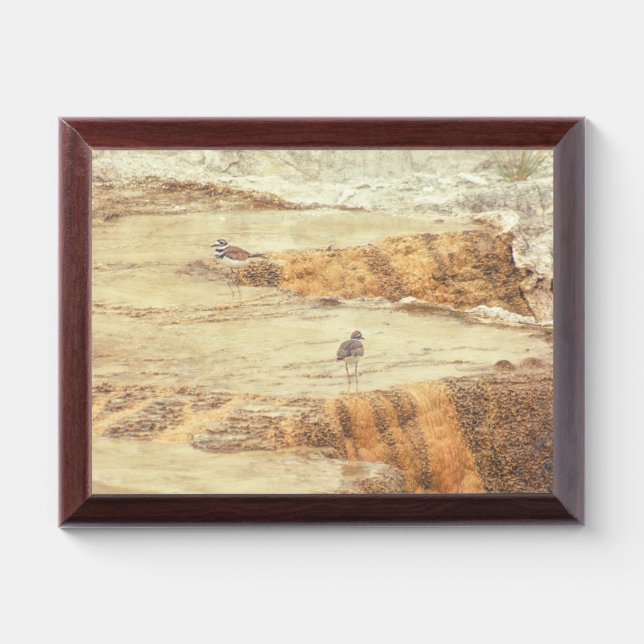 Killdeer Award Plaque (Horizontal)