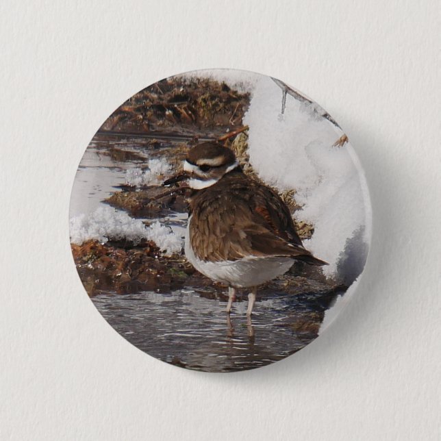 Killdeer Badge Button (Front)