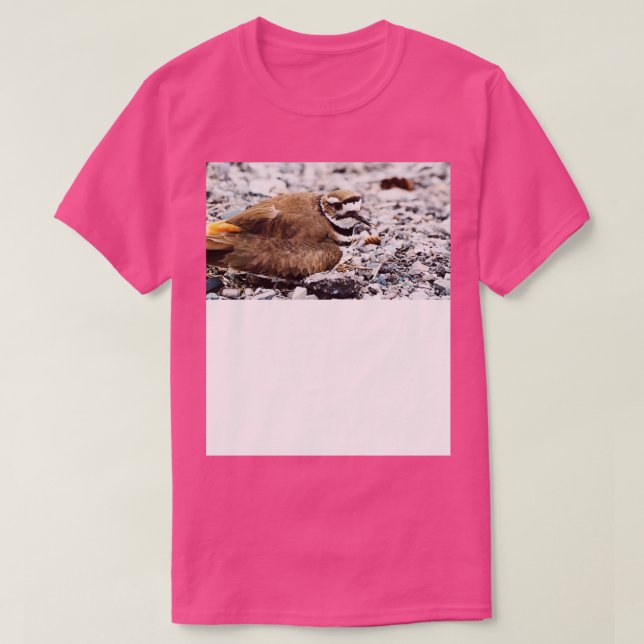 Killdeer Bird Guarding Her Nest TShirt (Design Front)
