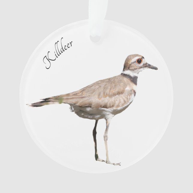 Killdeer Bird Ornament (Front)