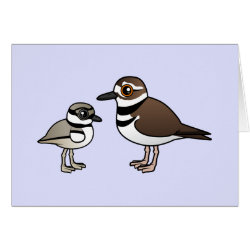 Killdeer & Chick Greeting Card