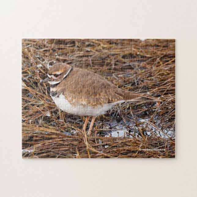 Killdeer in the Freezing Mudflats Jigsaw Puzzle (Horizontal)
