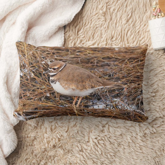 Killdeer in the Freezing Mudflats Lumbar Pillow (Blanket)