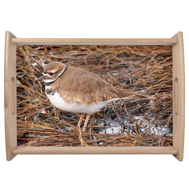 Killdeer in the Freezing Mudflats Serving Tray (Front)