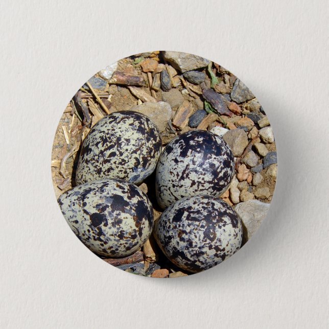 KillDeer Nest With Eggs Button (Front)