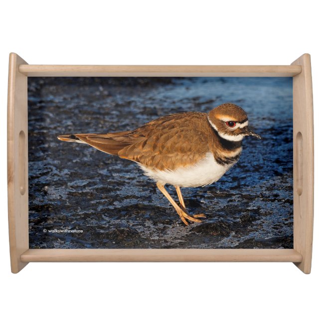 Killdeer on the Icy Mudflats Serving Tray (Front)