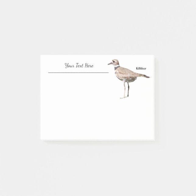Killdeer Post-it Notes (Front)