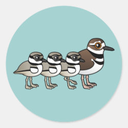 Killdeer & three chicks Round Sticker