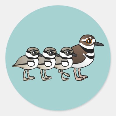 Killdeer &amp; three chicks classic round sticker