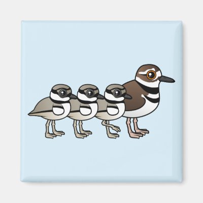 Killdeer &amp; three chicks magnet