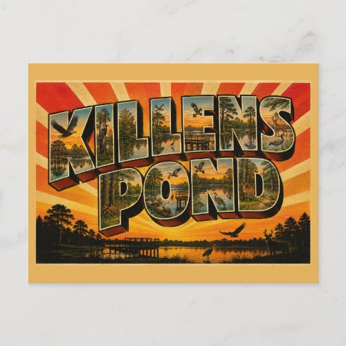 Killens Pond Delaware Millpond Forest Wetland Art Postcard