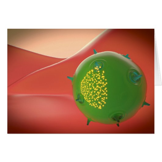 Killer Cell Of The Innate Immune System Cards (Front Horizontal)