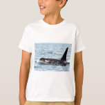 Killer Orca Male Whale San Juan Island T-shirt at Zazzle