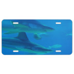 Killer Shark License Plate