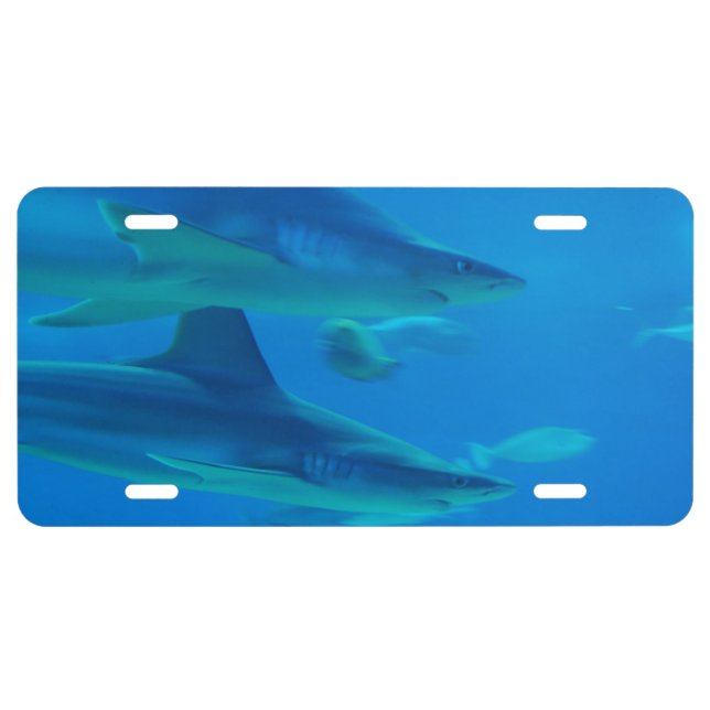 Killer Shark License Plate (Front)