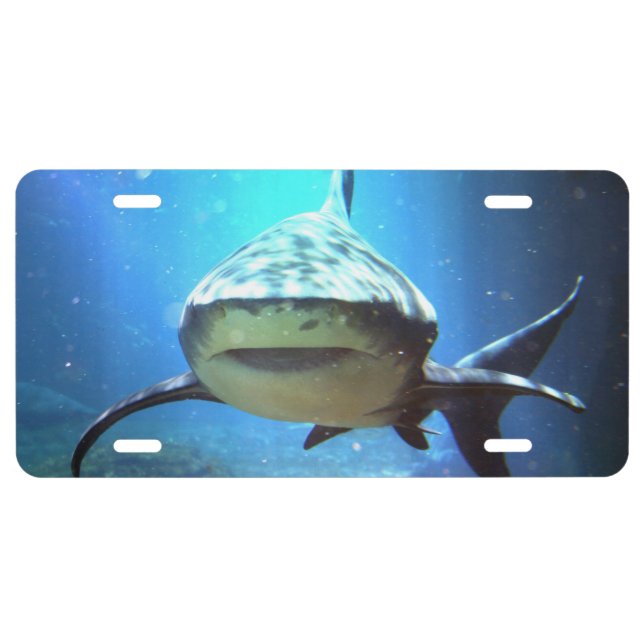 Killer Shark License Plate (Front)