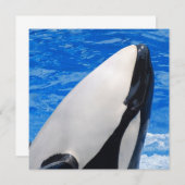 Killer Whale (Front/Back)