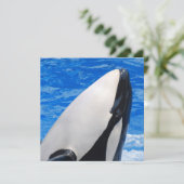 Killer Whale (Standing Front)