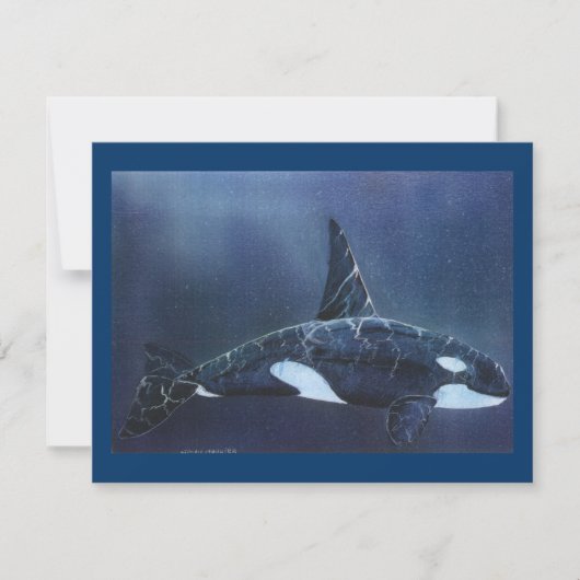 Killer Whale (Front)
