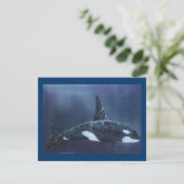 Killer Whale (Standing Front)