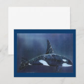 Killer Whale (Front/Back)