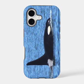 Killer Whale Blackberry iPhone 17 Case
