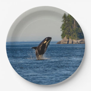 Killer Whale Breaching out of Ocean Water Paper Plates