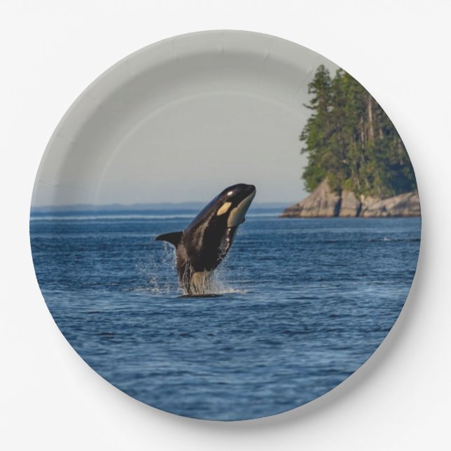 Killer Whale Breaching out of Ocean Water Paper Plates (Front)