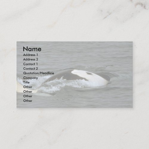Killer whale business cards